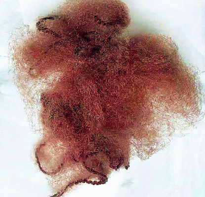 Las redecillas invisibles de nylon de Brown 14&quot; las redes de pelo disponibles enredan